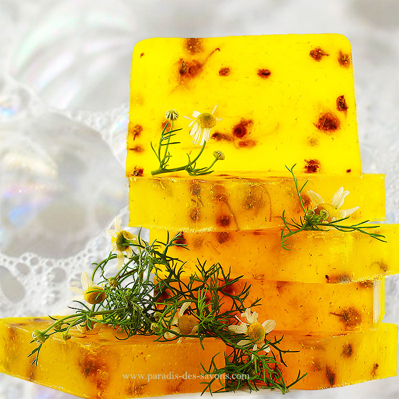 Savon purifiant Camomille Univers végétalPurifying soap Chamomile