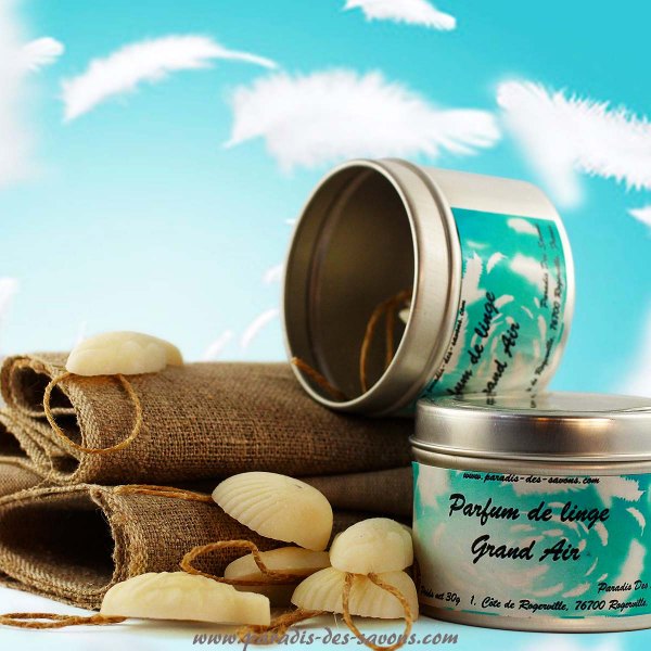 Parfum pour inge Grand Air
