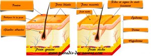 Peau déshydratée symptômes