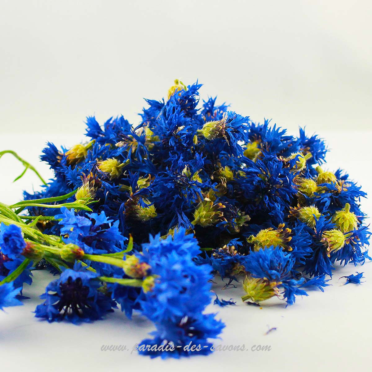 [:fr]Bleuet. Fleurs de bleuet entières séchées.[:en]Cornflowers. Dried cornflower heads.[:]