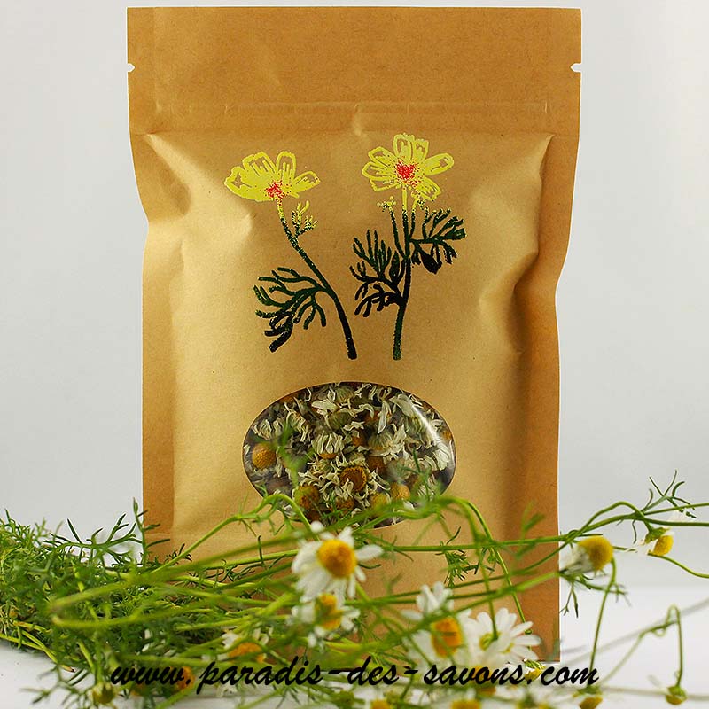 Fleurs de camomille séchées pour tisane - Acheter, Bienfaits