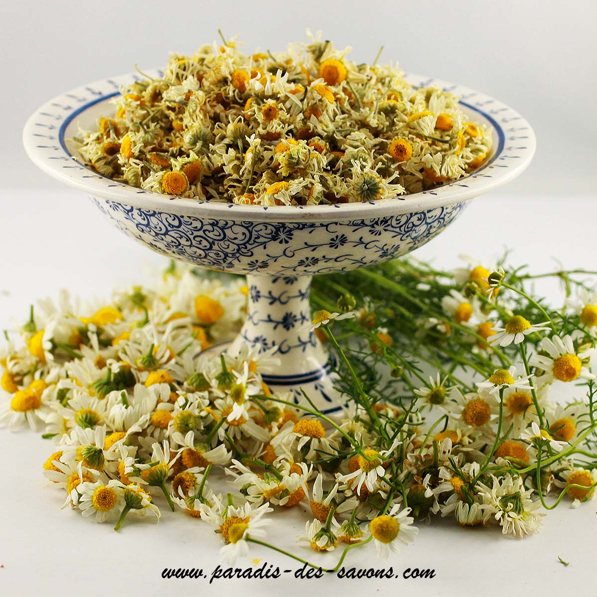 fr]Fleurs de camomille. Camomille allemande séchée d'origine  Normandie.[:en]Chamomile flowers. Dried German chamomile. Origin France.[:]