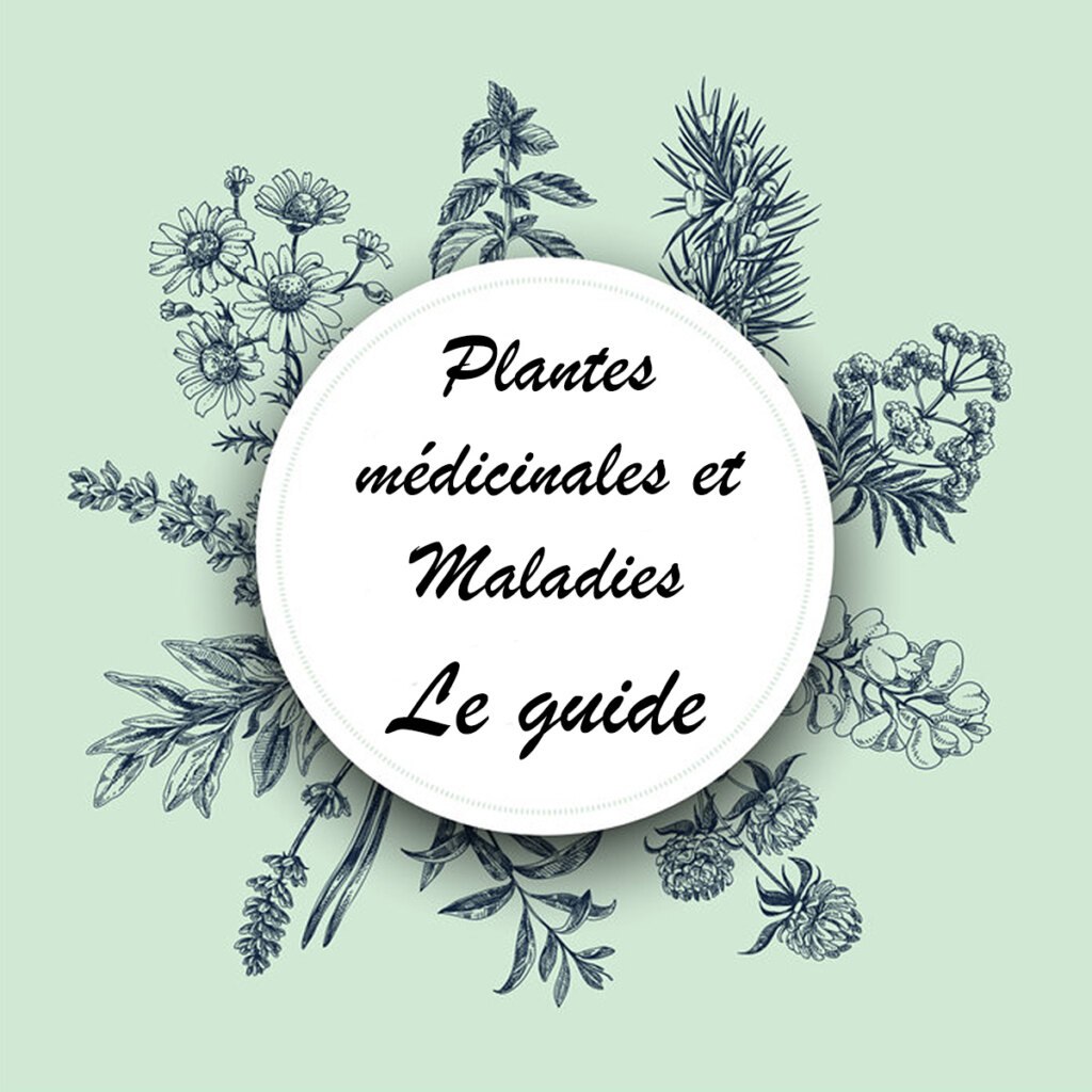 Plantes médicinales et maladies