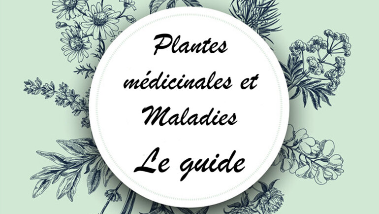 Plantes médicinales et maladies. “Le Jardin des Remèdes” une liste incontournable.